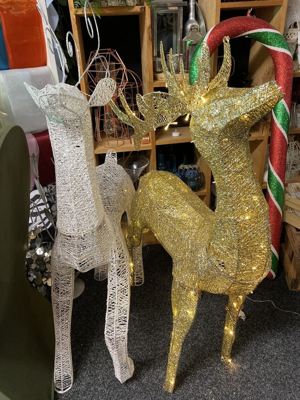 Reindeer gold with lights for hire, rent, or rental in Panmure